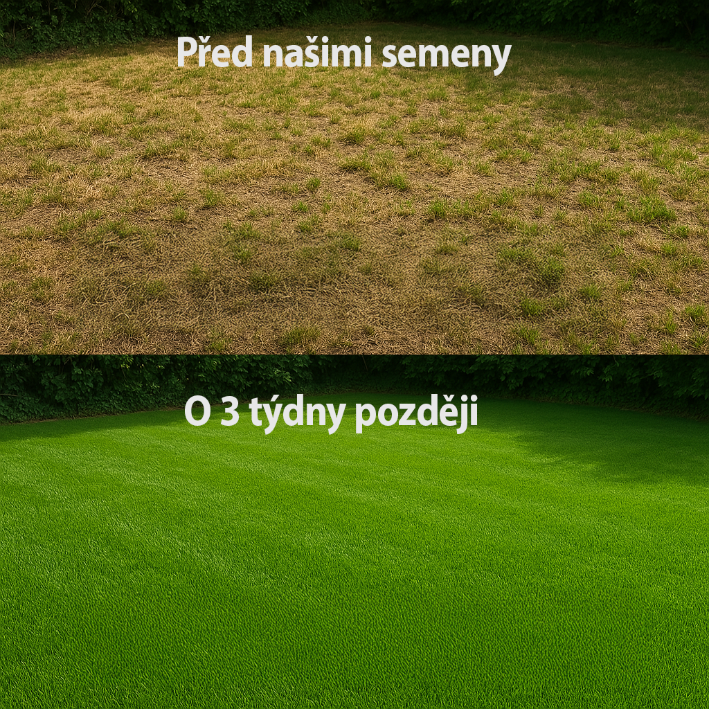 3 + 1 Express Grass Professionnel