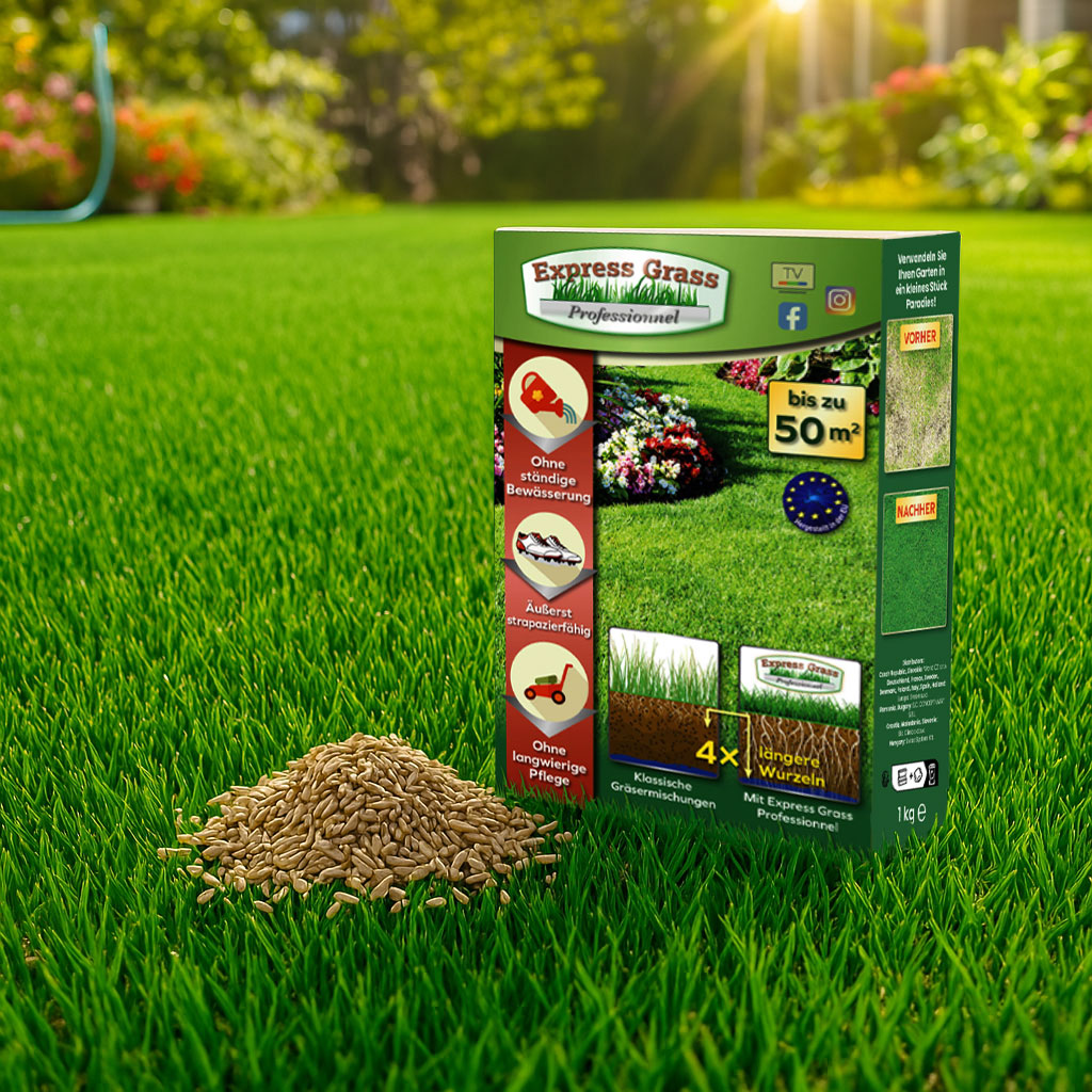 3 + 1 Express Grass Professionnel